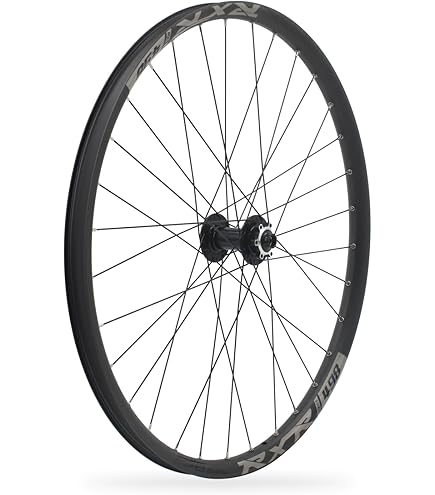 Amazon.com : DT Swiss 240 EXP Straight Pull Rear disc Centre-Lock